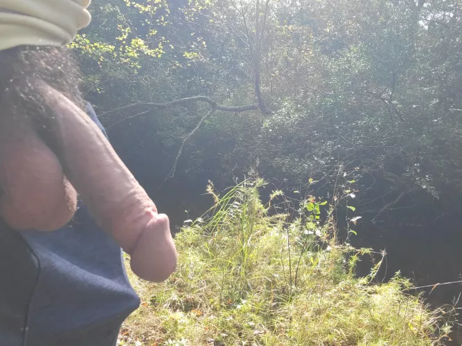 Anyone else feel a throb when they get active in some nice scenery? by rebornfreak