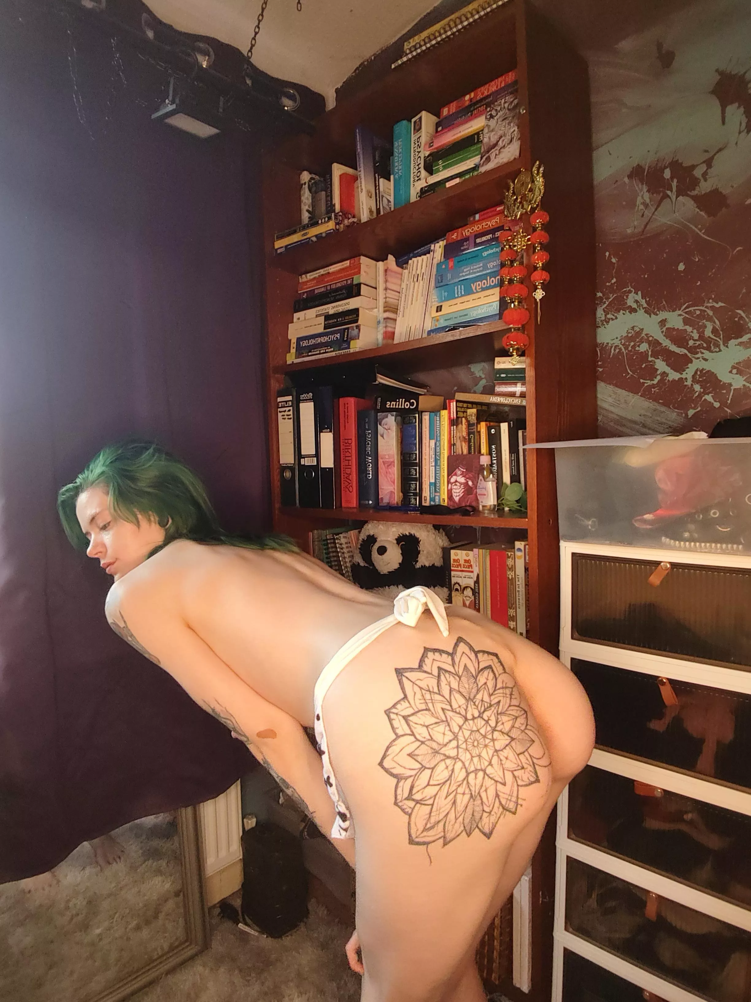 assume the position, like a good girl posted by AprilAddams