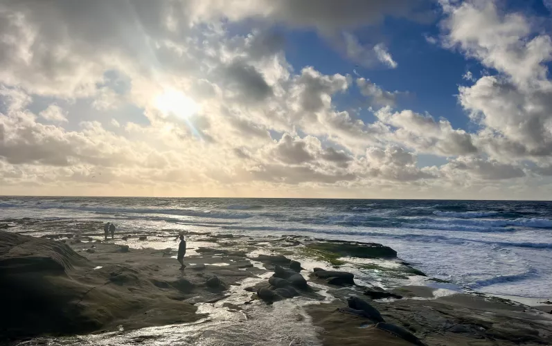 La Jolla Sunset, Windansea by OceanEarthGreen