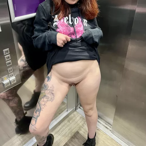 No panties in the lift, when will the door open  by SkylarNyx_