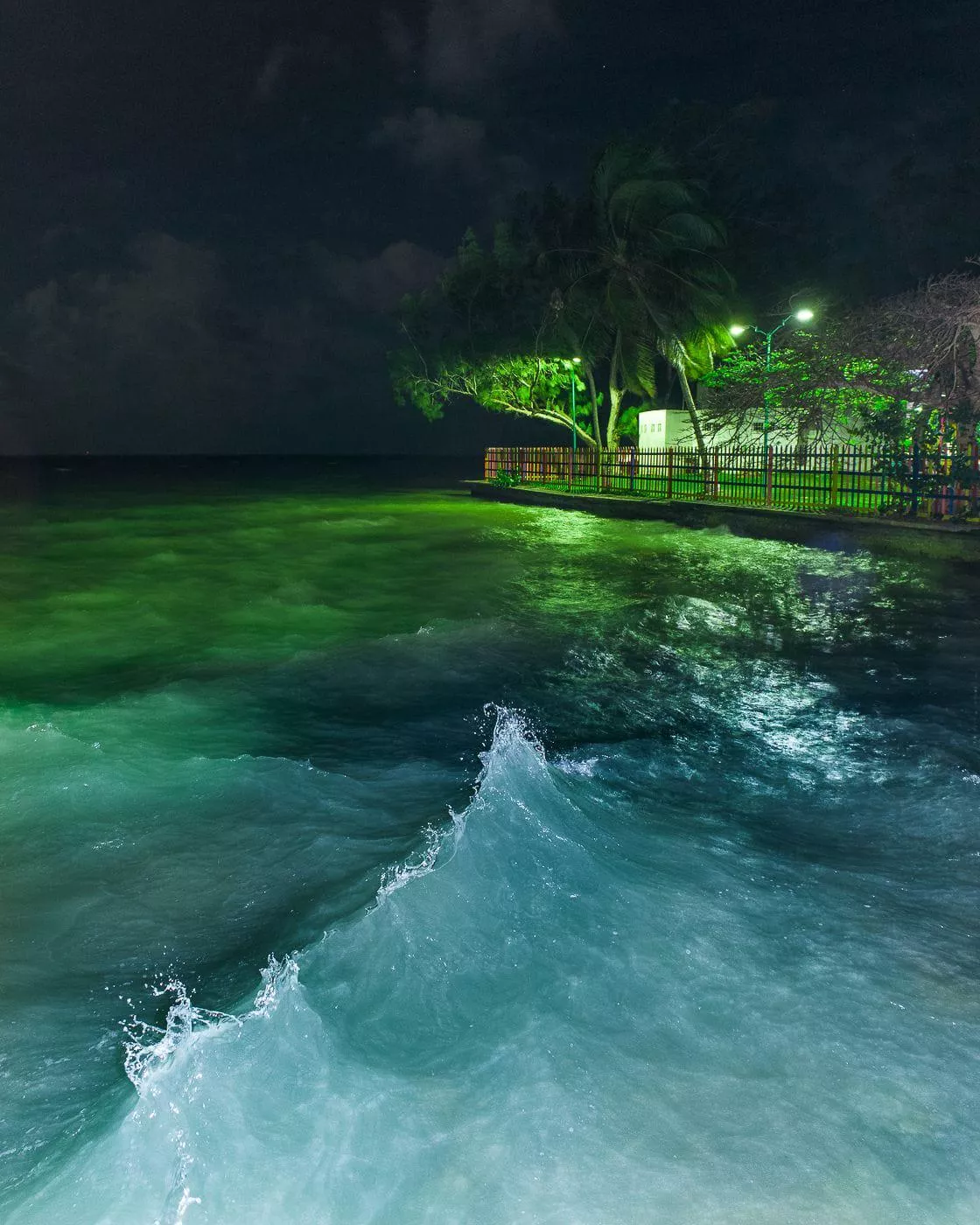 What song does this photo remind you of? posted by colapepsikinnie