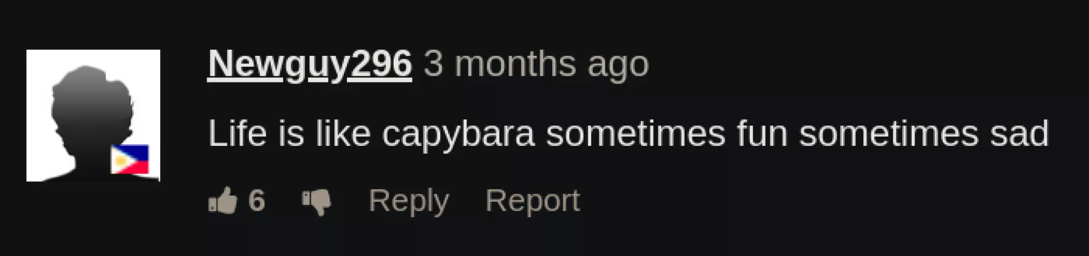 Capybara by haquire0