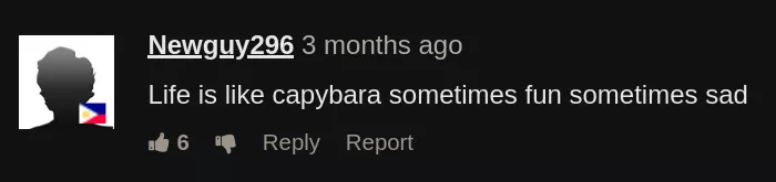 Capybara posted by haquire0