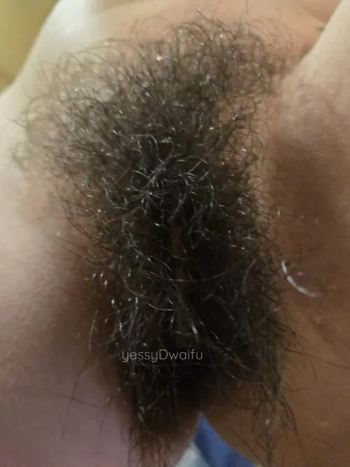 it's pretty wild but also self contained by yessyDwaifu