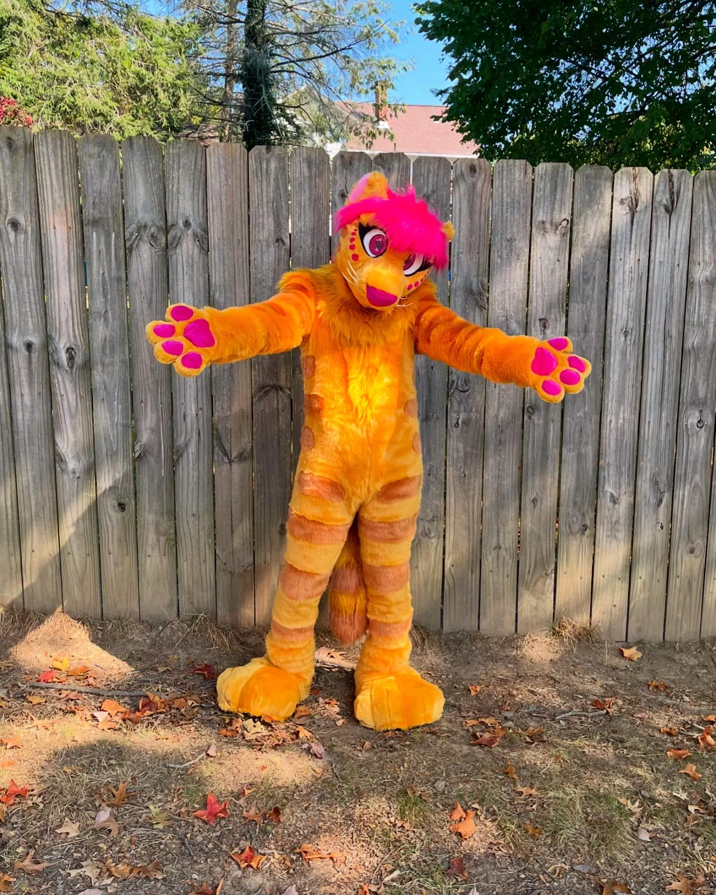 Just got a new fursuit! posted by Flyjah_FlySkunk