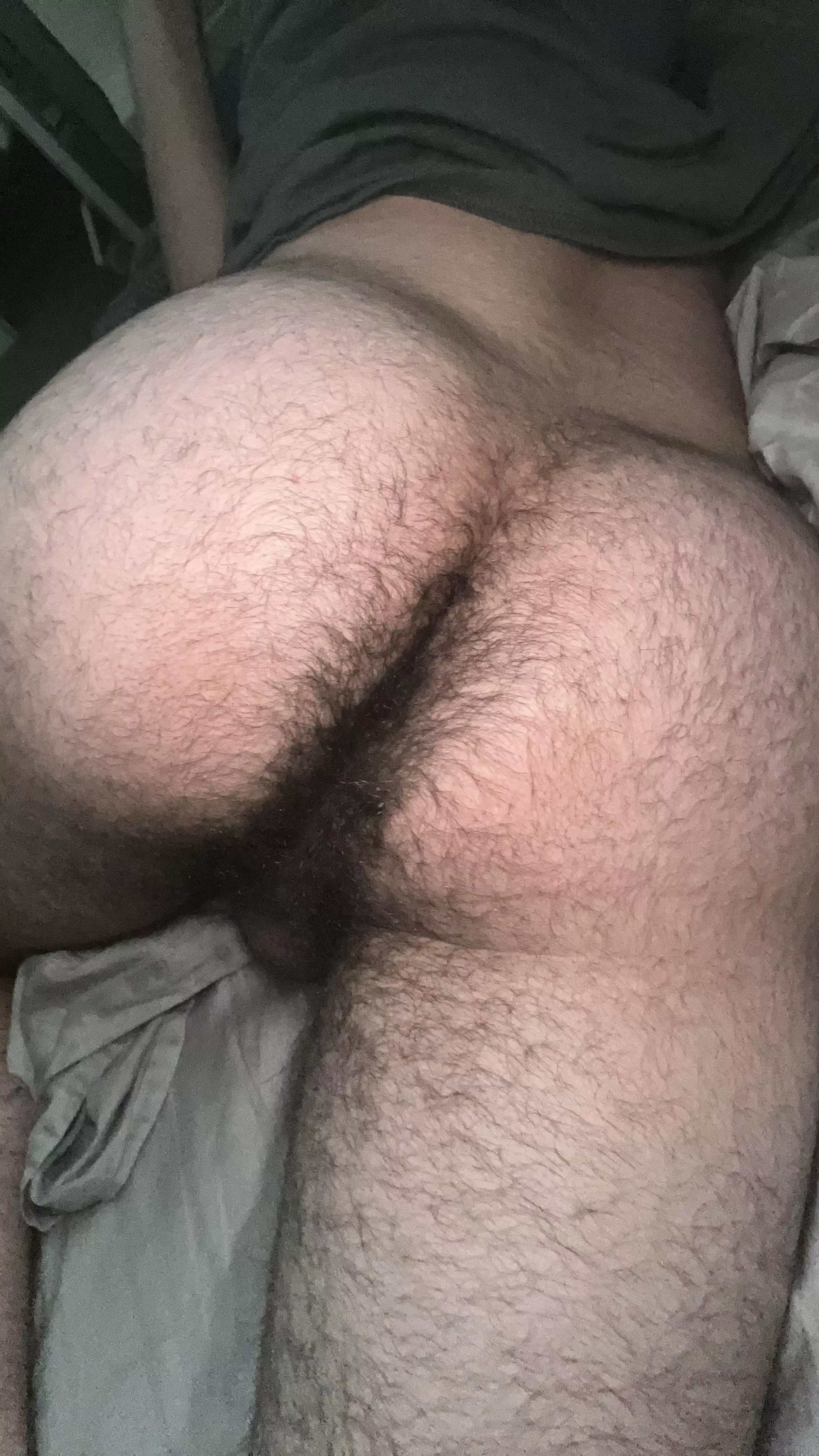 My hairy teen ass is waiting for you posted by Flyinthewall69
