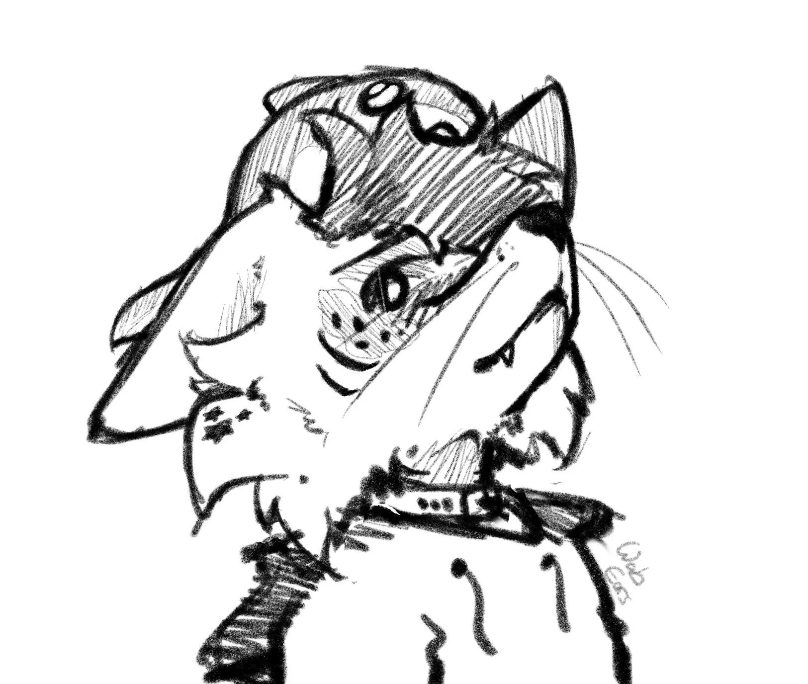 Sharkonfox posted by LeDommk