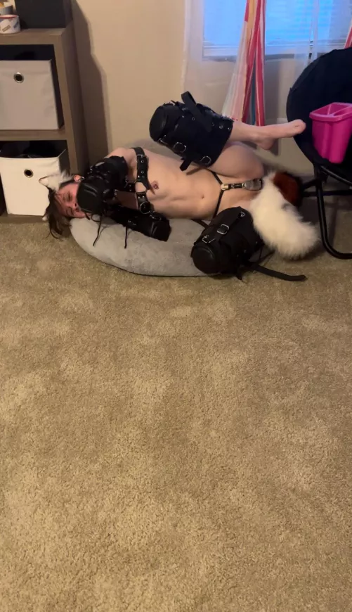 Will you rub puppy’s belly? by beepitboopit