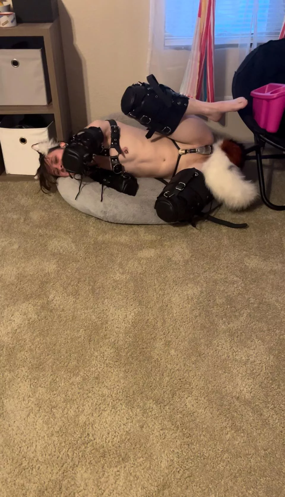 Will you rub puppy’s belly? posted by beepitboopit