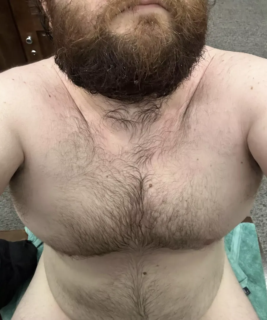 6am and im already done with the gym and showered 🧼 🐻 💪  by BearGaymer92