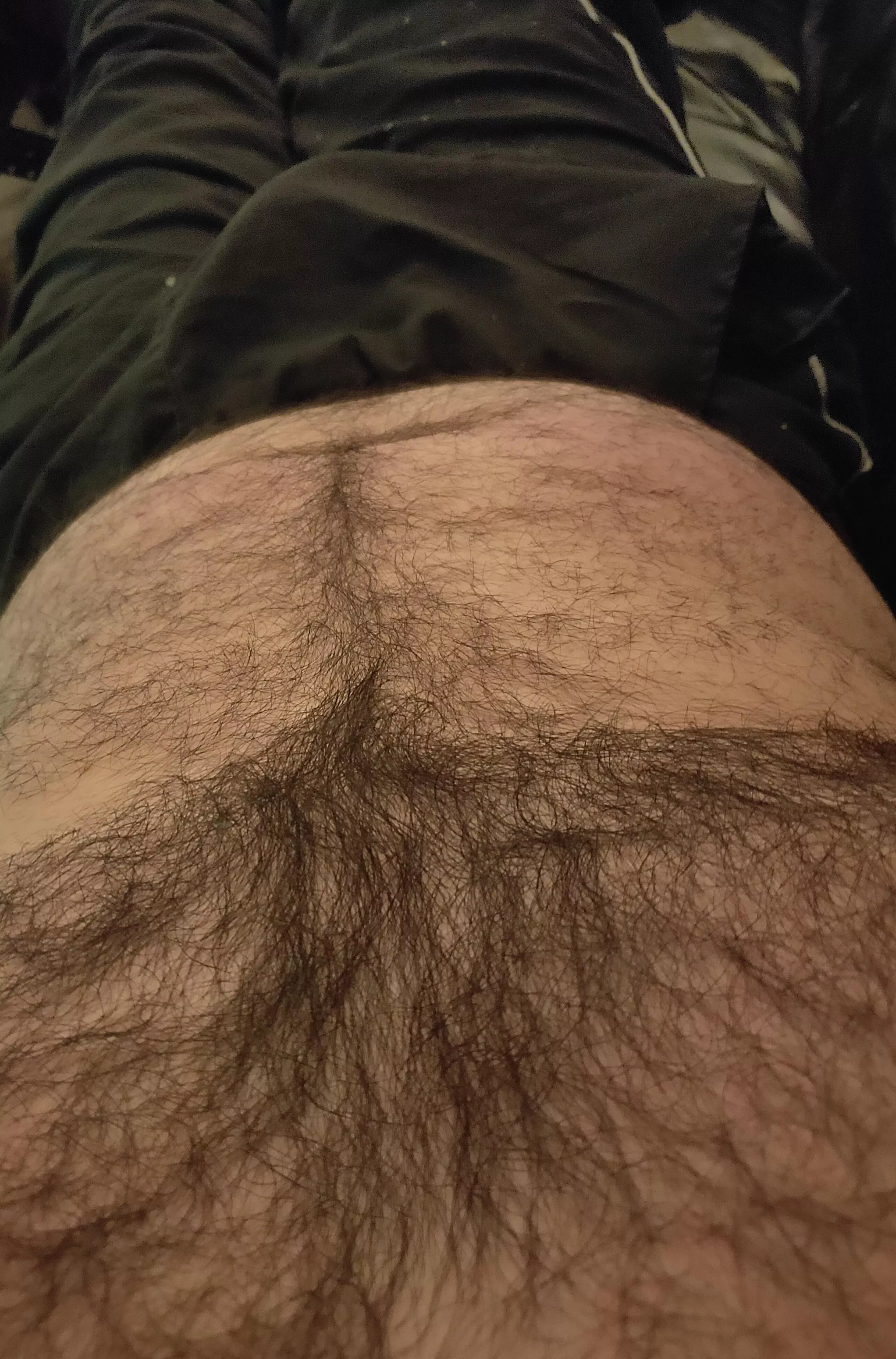 Afternoon relax  posted by HairyDiplodocus