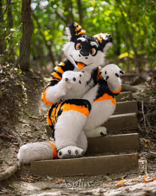 Cheese shaped obstruction is on your path! What will you do?? :> by SilySox