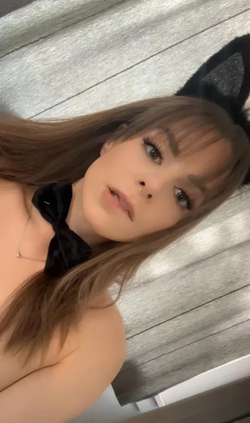 meow  by coldchillwind