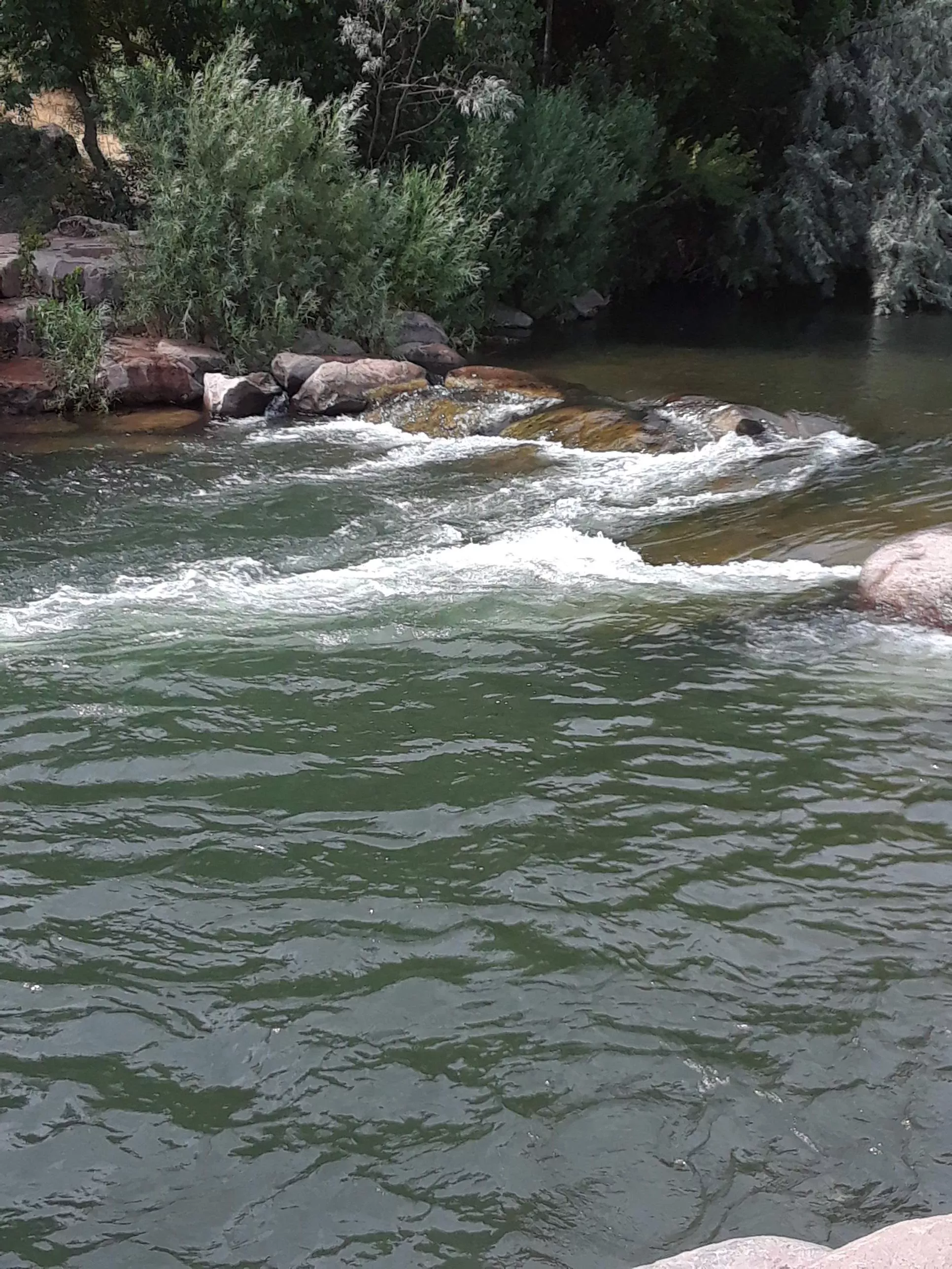 Ogden Utah posted by Tonelokedy