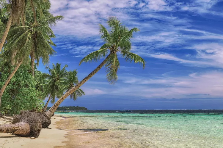 Tropical beach on the island of Siargao, Philippines by Vivid_Resolution_490