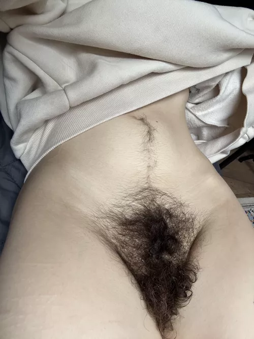 Big bush, big fun. by Creative-Strength-17