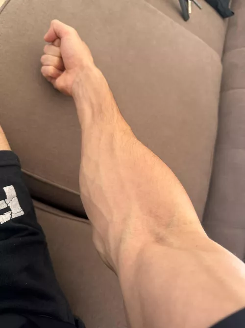 Flex 💪🏻 by Maurifitness