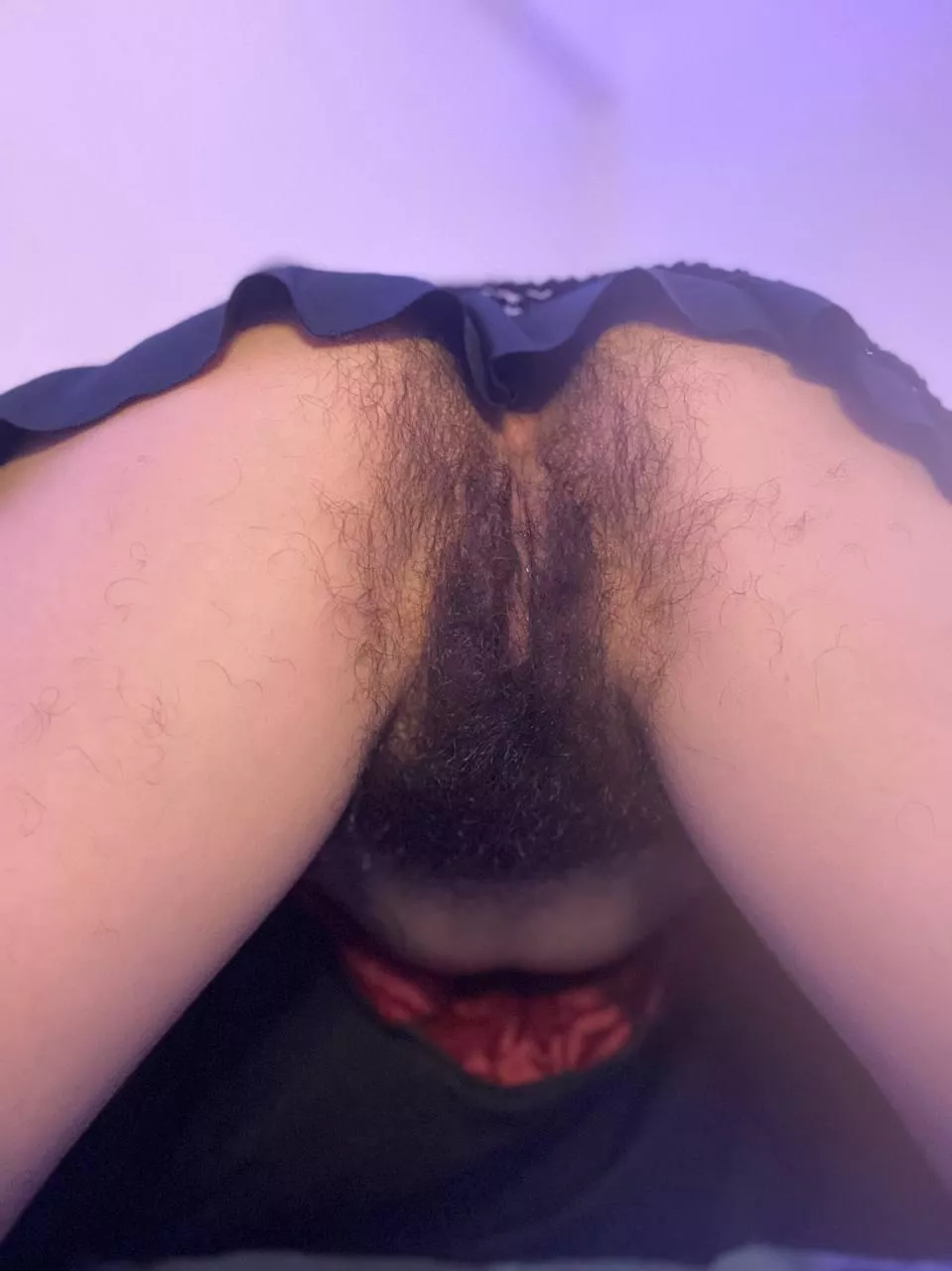 POV im about to sit on your face [h] posted by aurora_westie