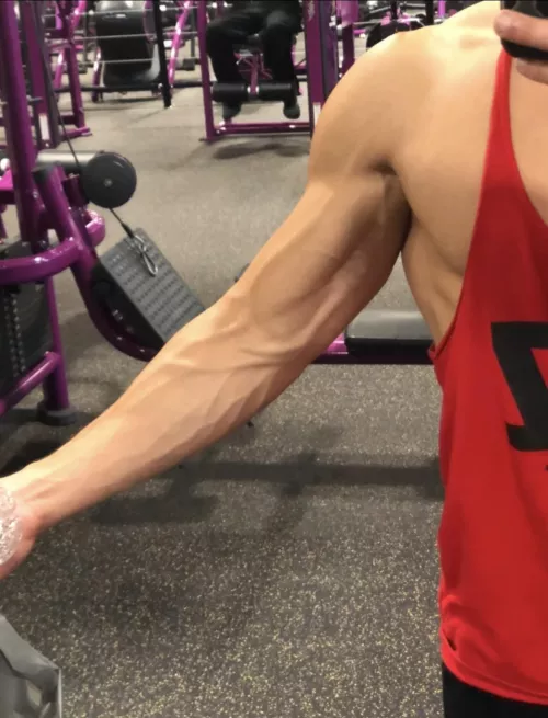 Thick and veiny forearm check at da gym 😁😁🥰 by TheeGuyDerek