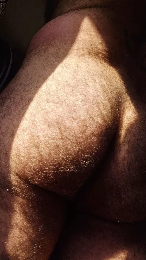 where the sun does shine... by Nick_Eclipse