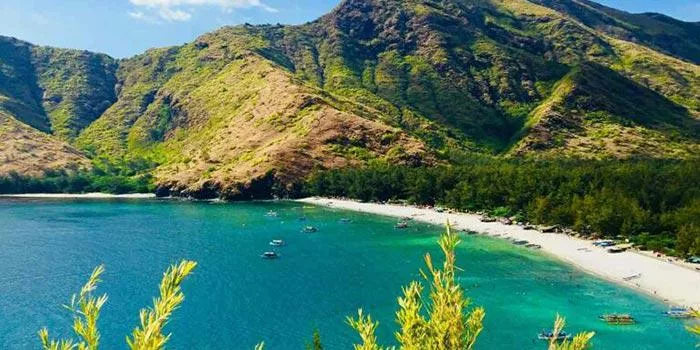 Zambales posted by Hazel_Bees