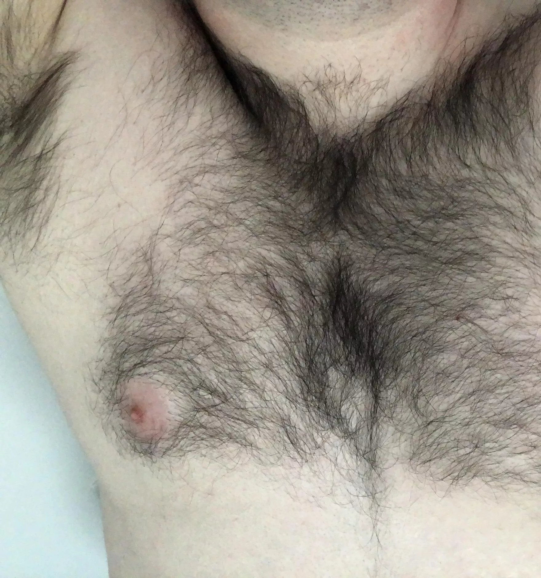 25 furry pits and chest posted by akiomlo99