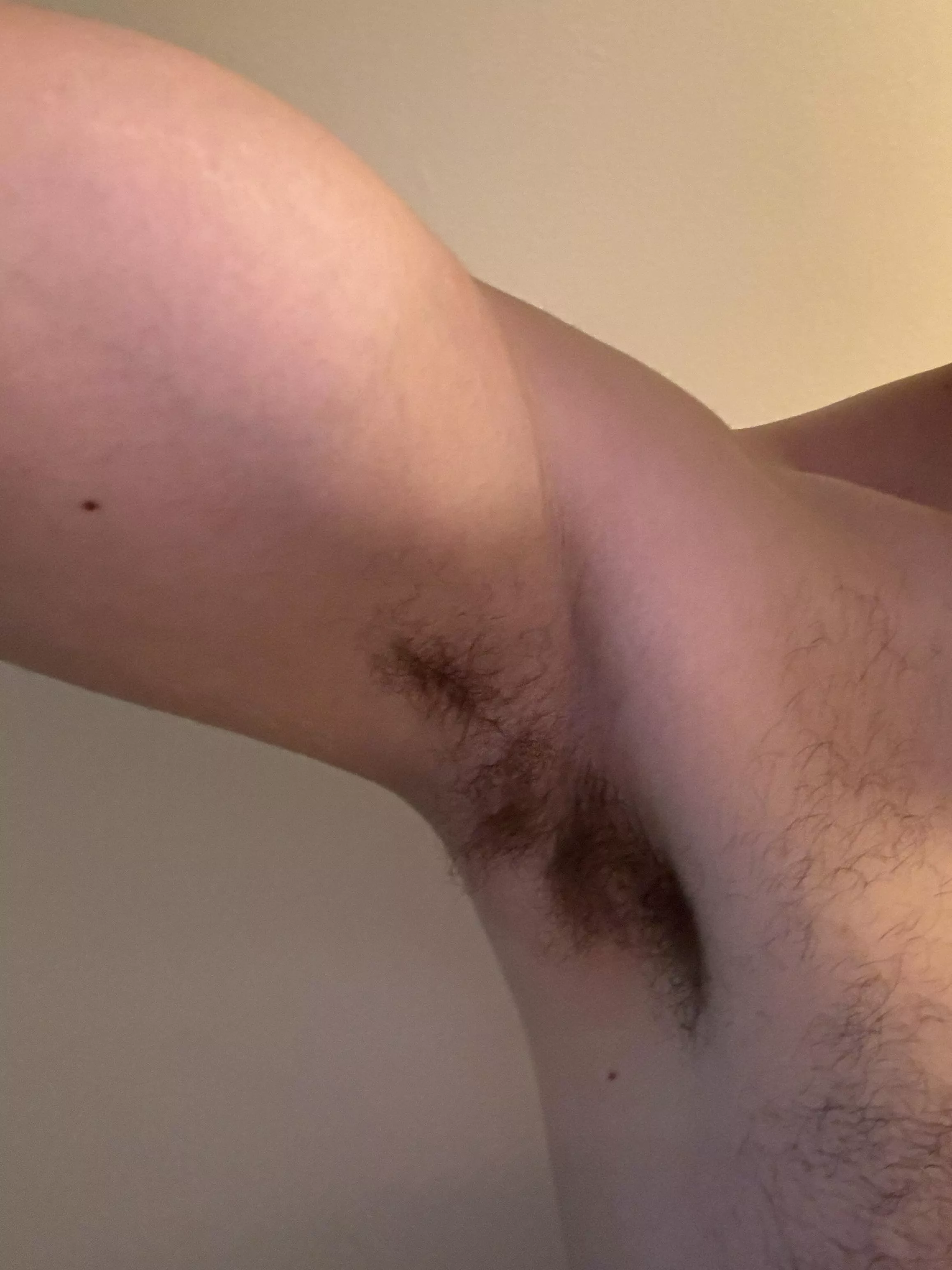 A bit of musk at a party won’t do anyone harm, right? posted by Bright-Ad-7472