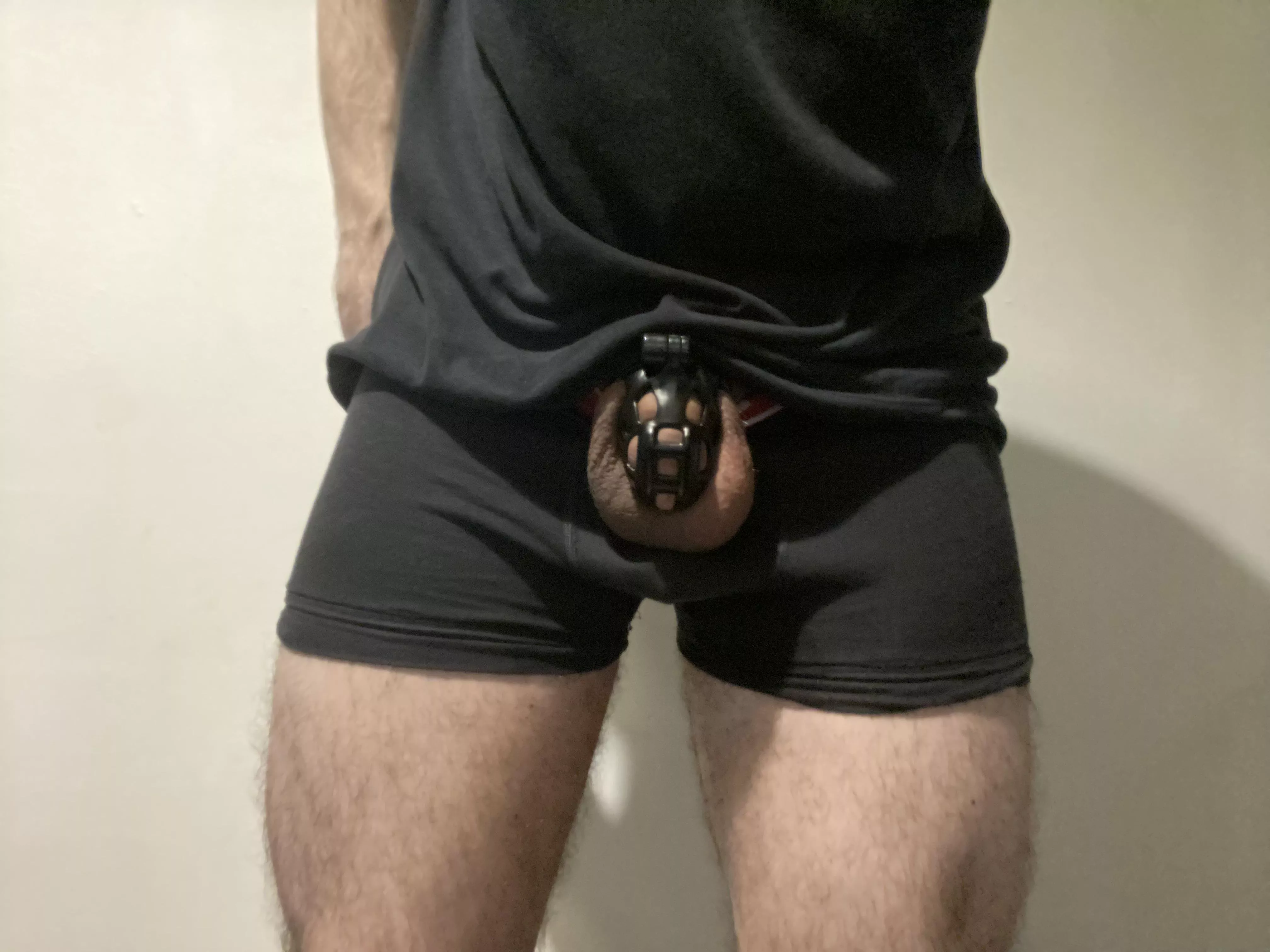 First week of locktober complete, day 39 for me now. This feels like my new normal posted by PlasticRole818