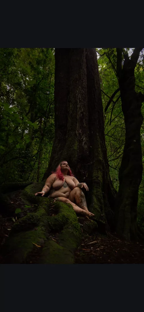 Found this tree on a nature trail by Cindytyne_NZ