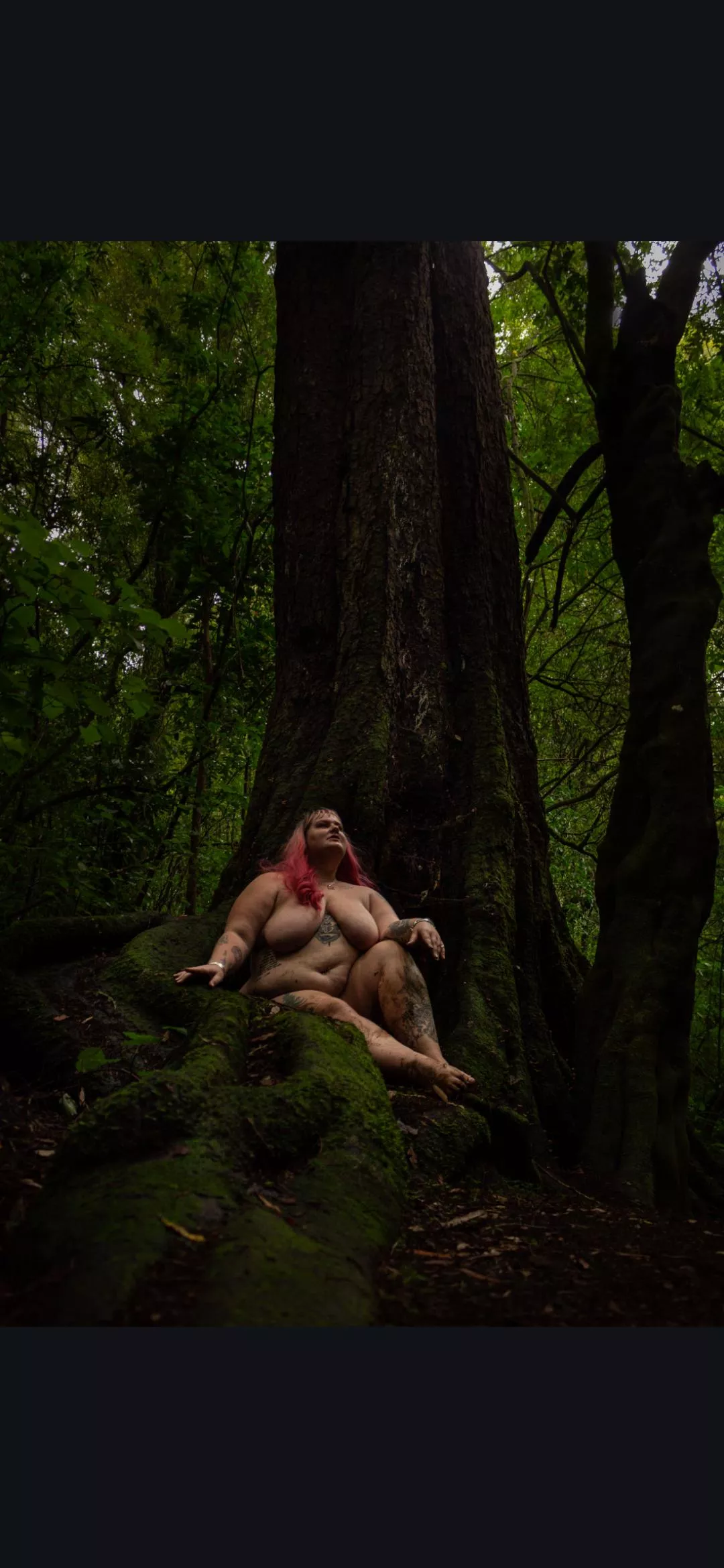Found this tree on a nature trail posted by Cindytyne_NZ
