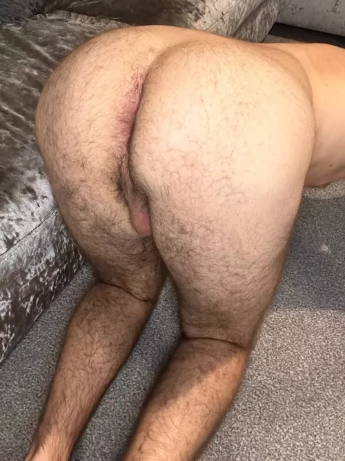 Making it my mission to grow an even hairier fuzzy Man Ass  by HOTUKDILF