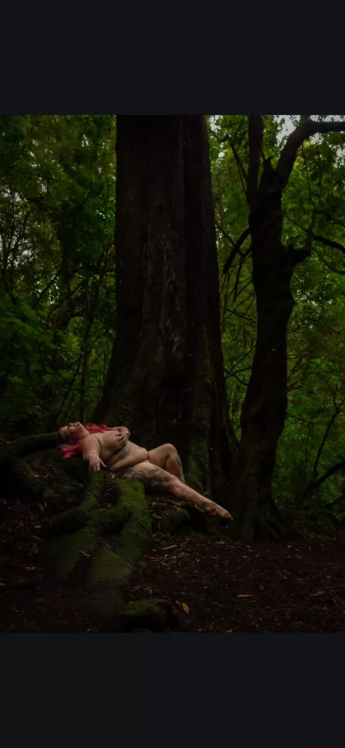 More from the bush walk by Cindytyne_NZ