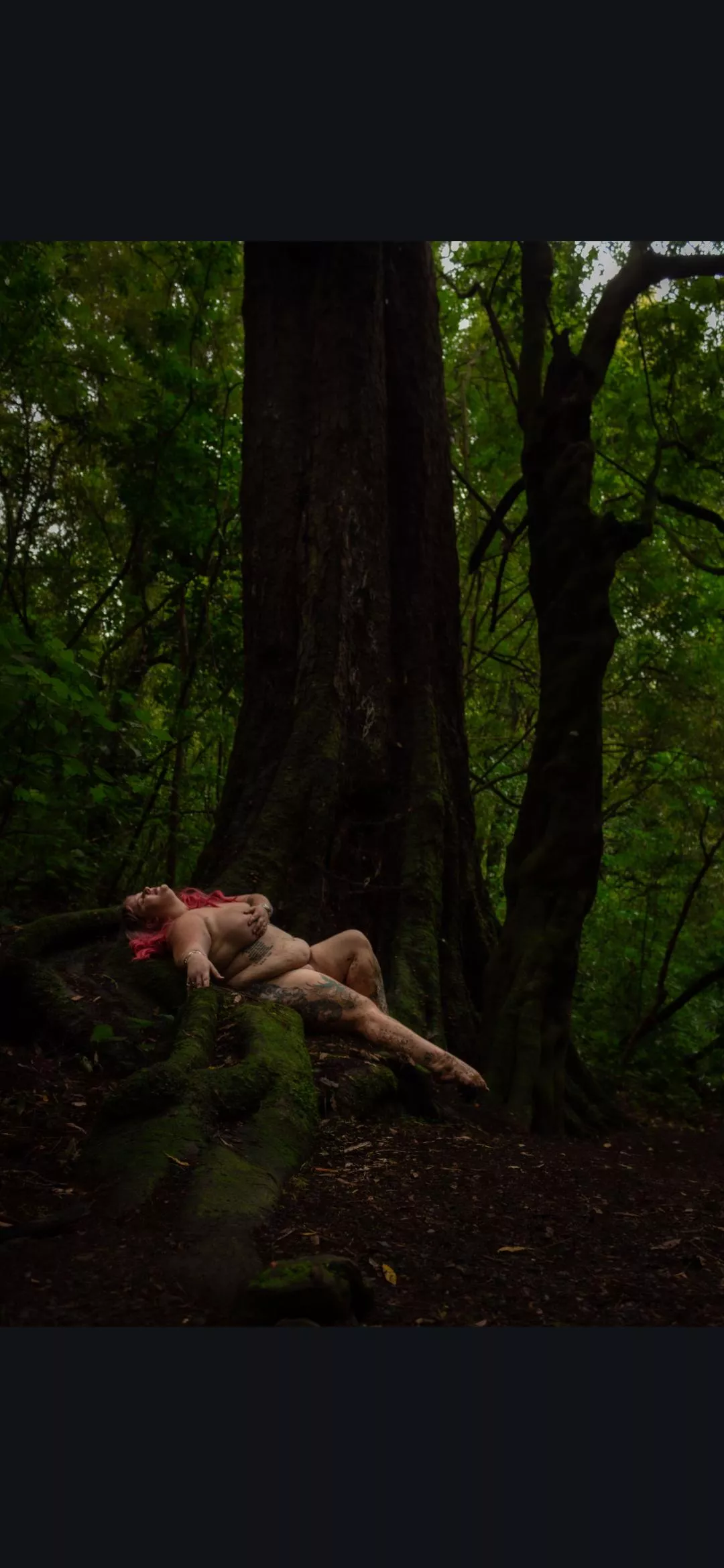 More from the bush walk posted by Cindytyne_NZ