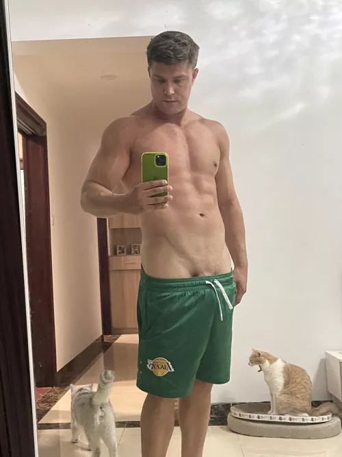 My cat does not approve by stndonbidniz