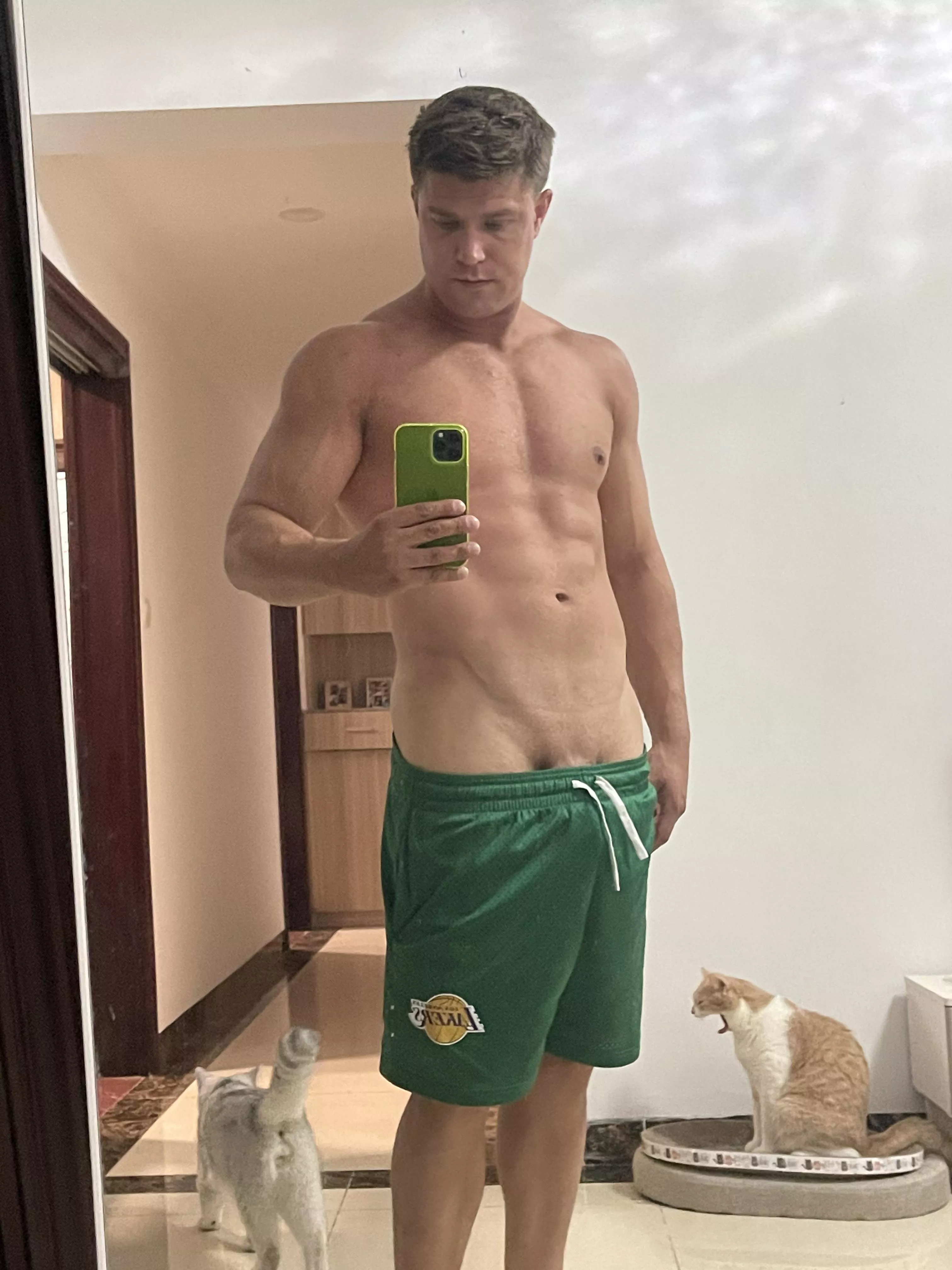 My cat does not approve posted by stndonbidniz