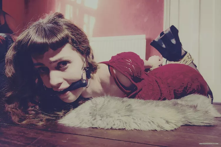 Red and ready by Spartan4497