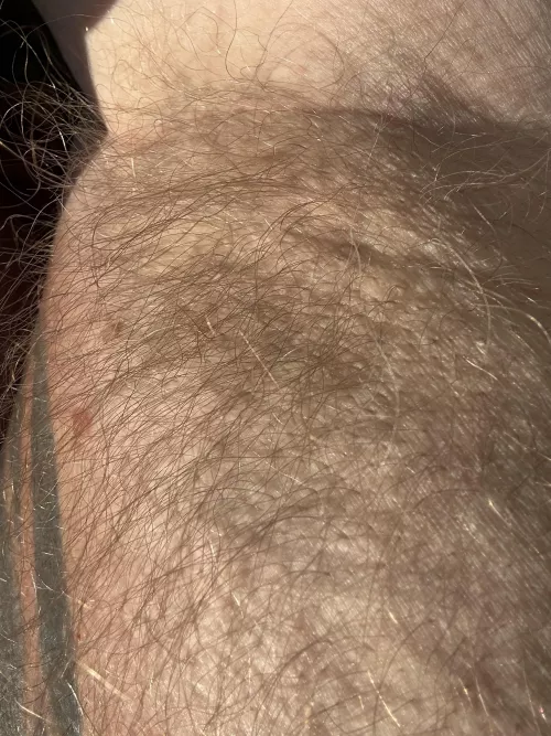 Well here it is. Up Close first time posting in this group!! Well tell me what you think! by NC-Stribog