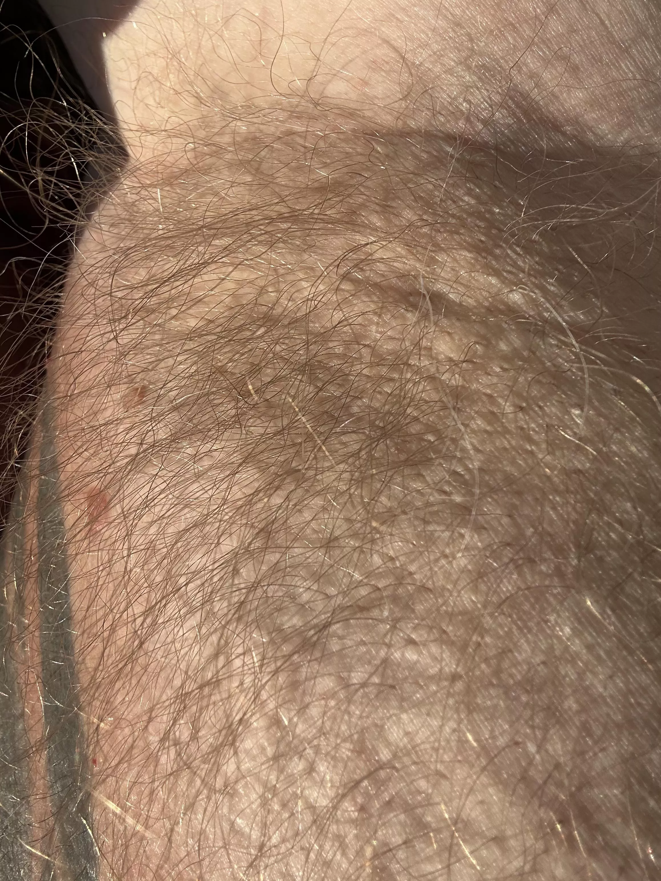 Well here it is. Up Close first time posting in this group!! Well tell me what you think! posted by NC-Stribog