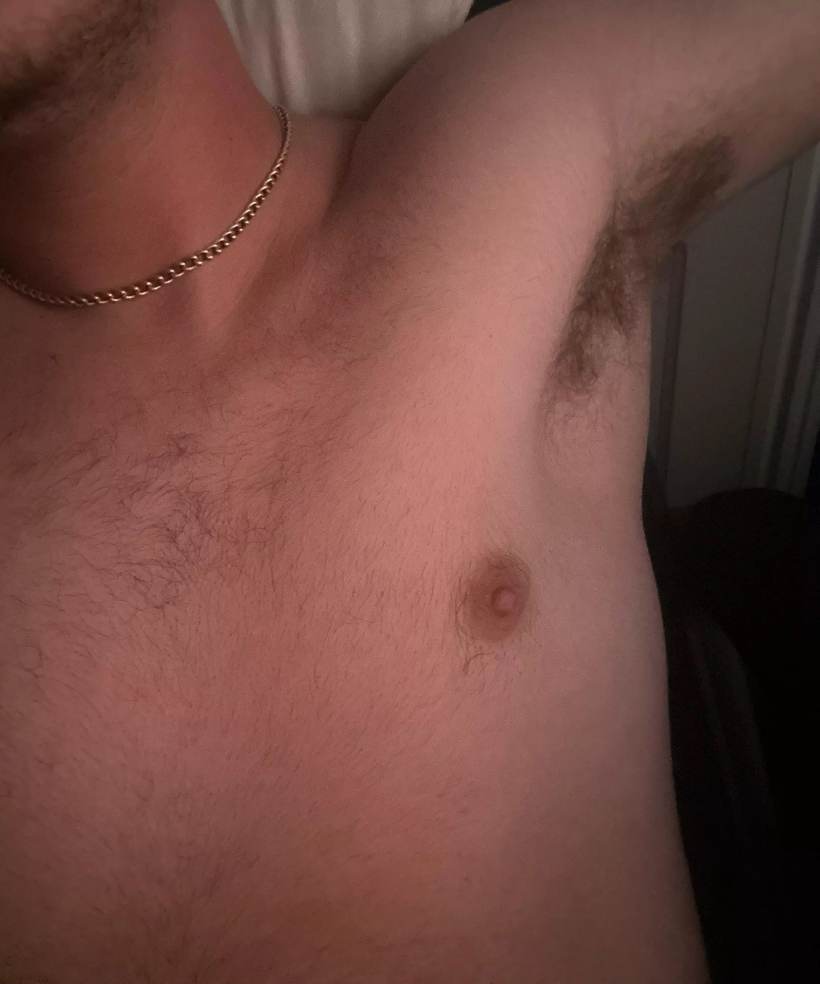 What would you do to these pits posted by Local-Lie8952