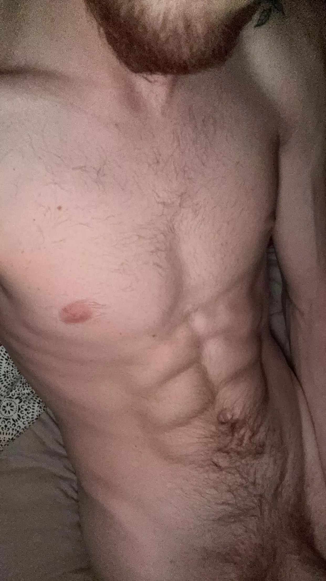 21m usa college bro stoned and horny (+dad bod) (+chill) hmu @throwaway206160 posted by Mindless_Chicken_769