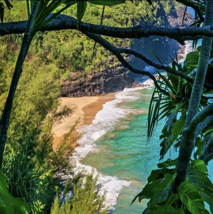A beautiful but dangerous beach posted by colapepsikinnie