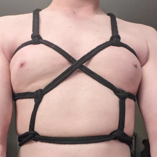 Another chest harness variation by Kinky-Kaiser
