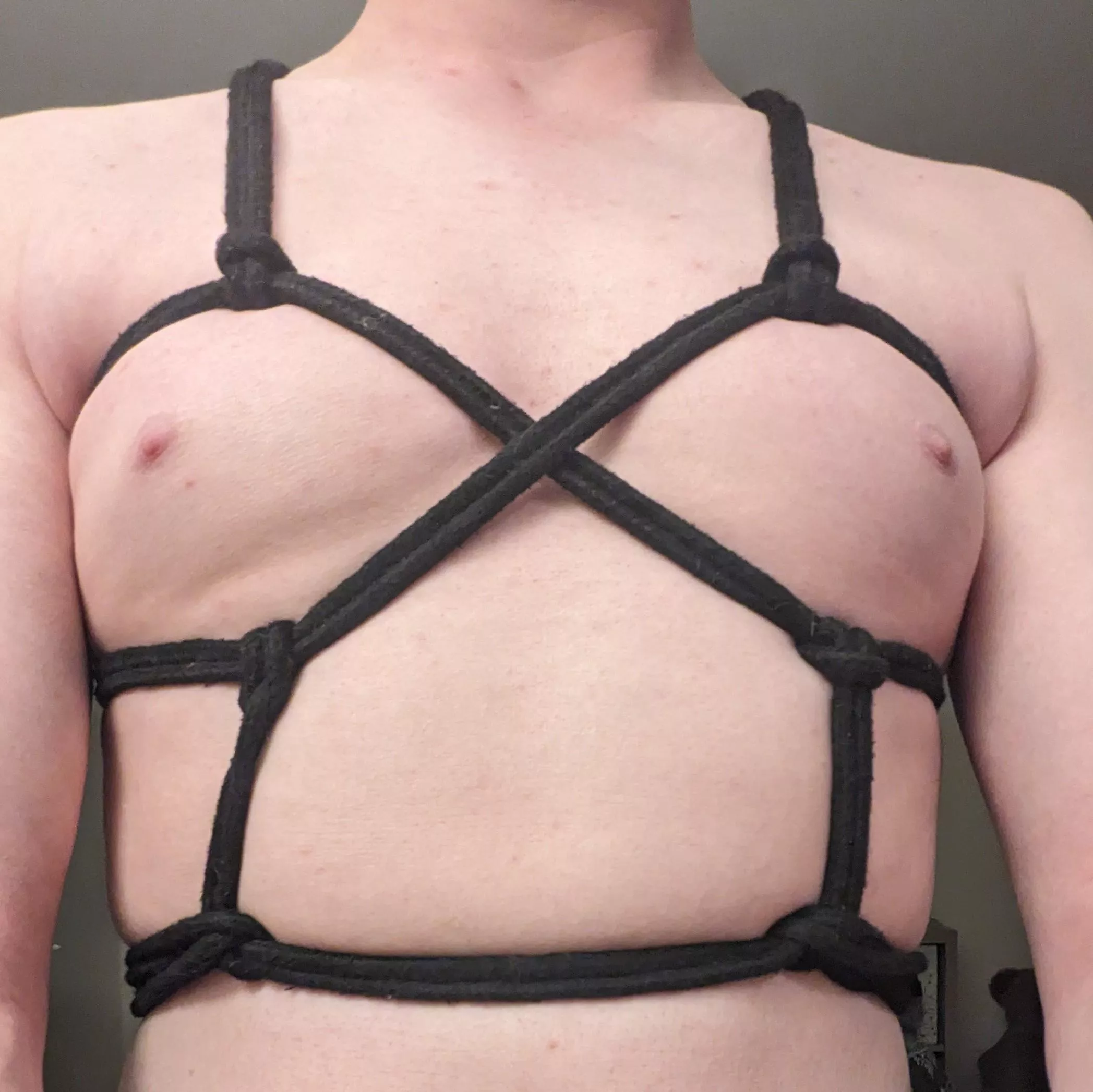 Another chest harness variation posted by Kinky-Kaiser
