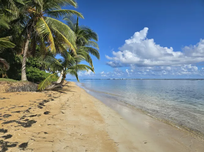 Beautiful Puerto Rico  by Haploid-life