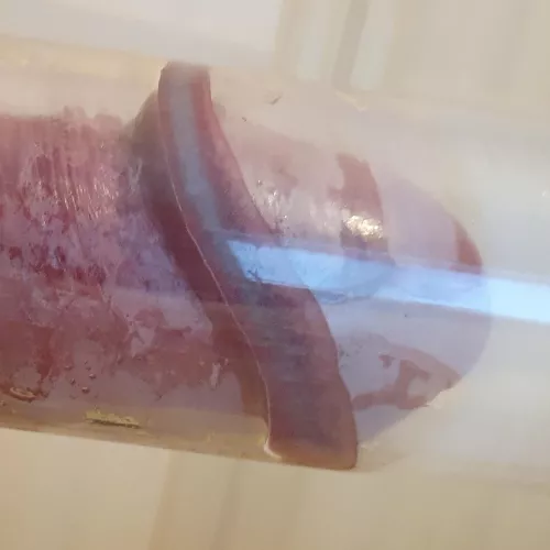 Corona piston engagement! by GlenGrunt