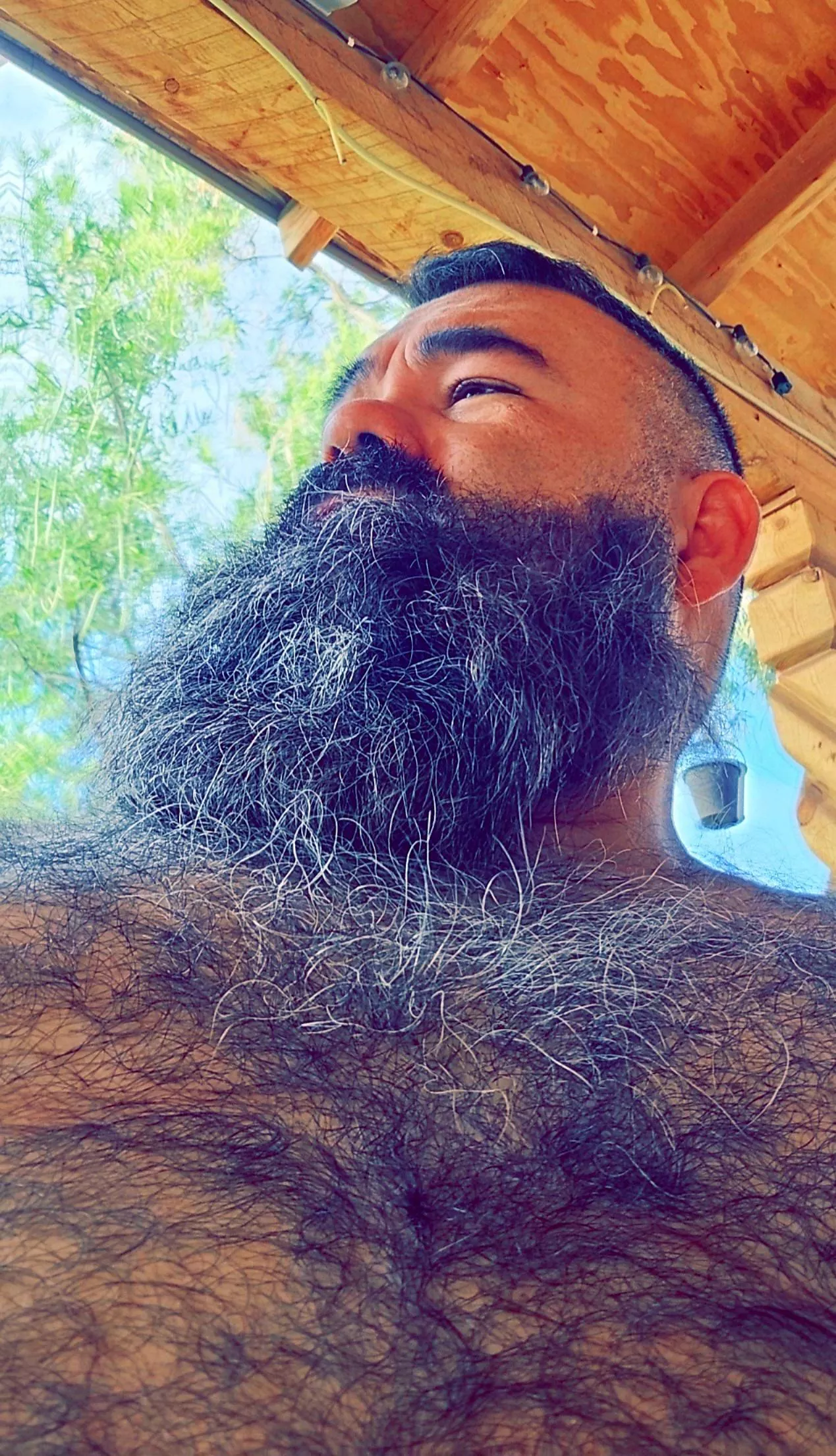 Do you mind a few grays? ☺️ posted by bearded-JJ