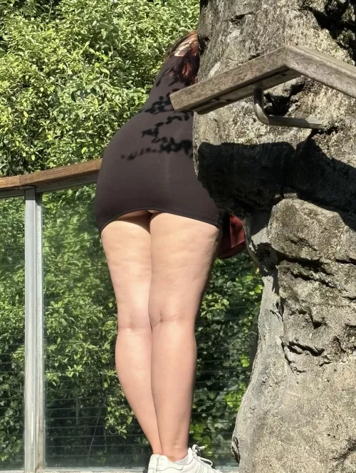 Dress rode up at the zoo… by Beneficial-Box9700