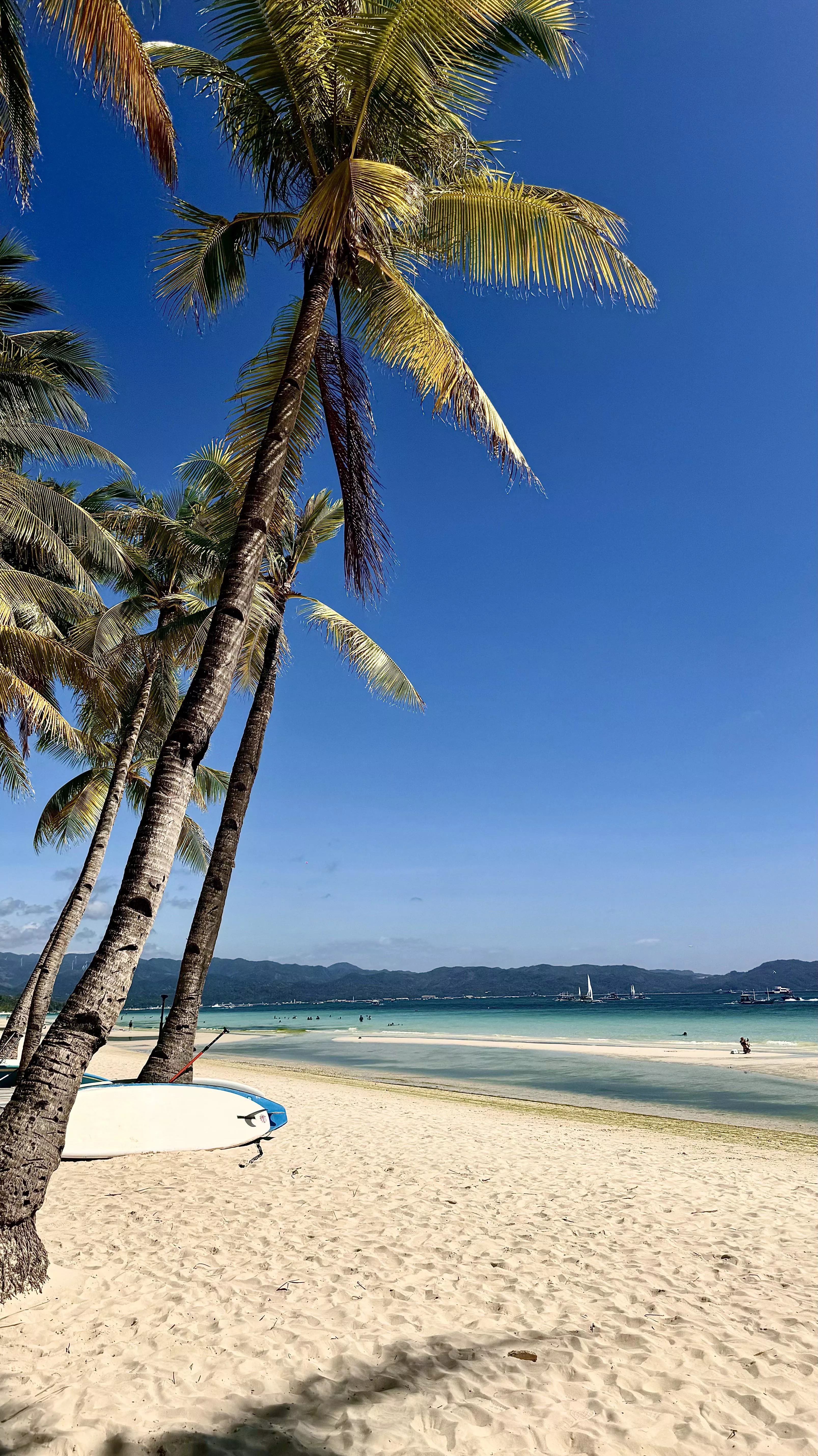 Home posted by Blueberryvodka248