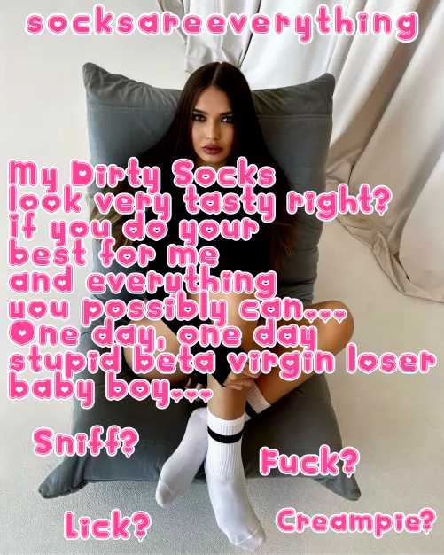 My socks look very tasty to you baby? One day you may be breeding my socks you stupid little beta! by SocksAreEverything