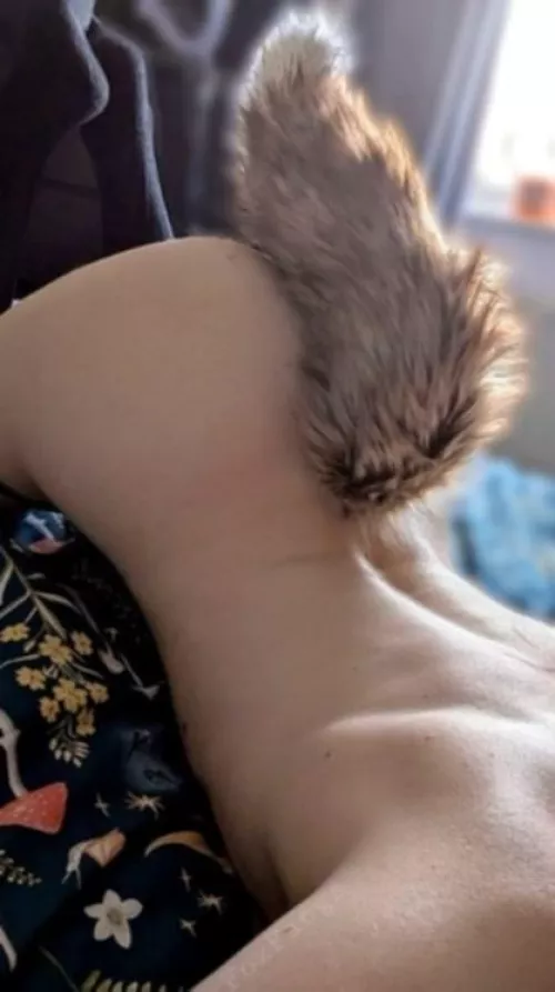 My tailplug is my new favorite accessory by lovelyyyamber